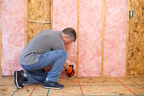 Soundproof Insulation Installation in Point Roberts, WA