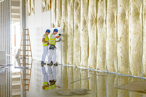 Best Insulation Contractor Near Me  in Point Roberts, WA
